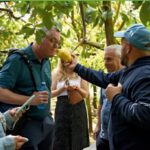 Esperienza in fattoria