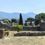 Pompei Ercolano (con pranzo)