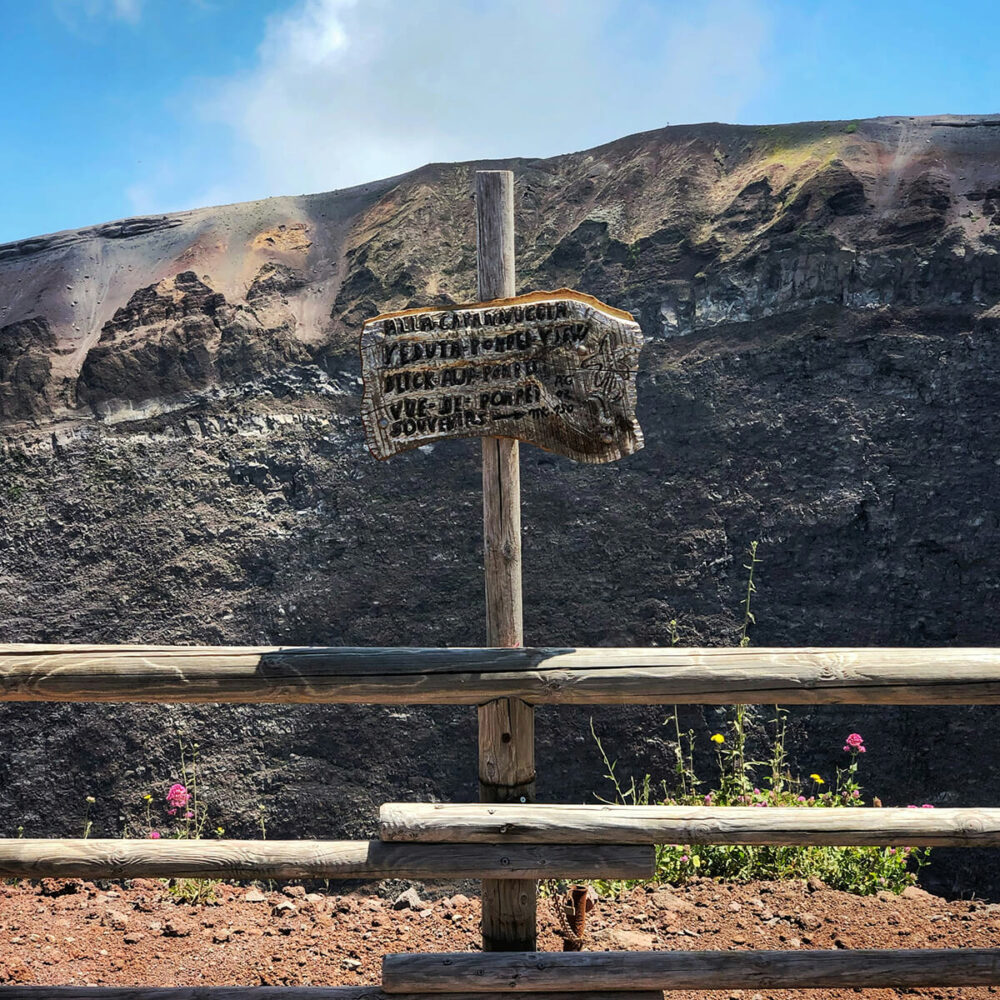Pompei e Vesuvio Experience - immagine 2