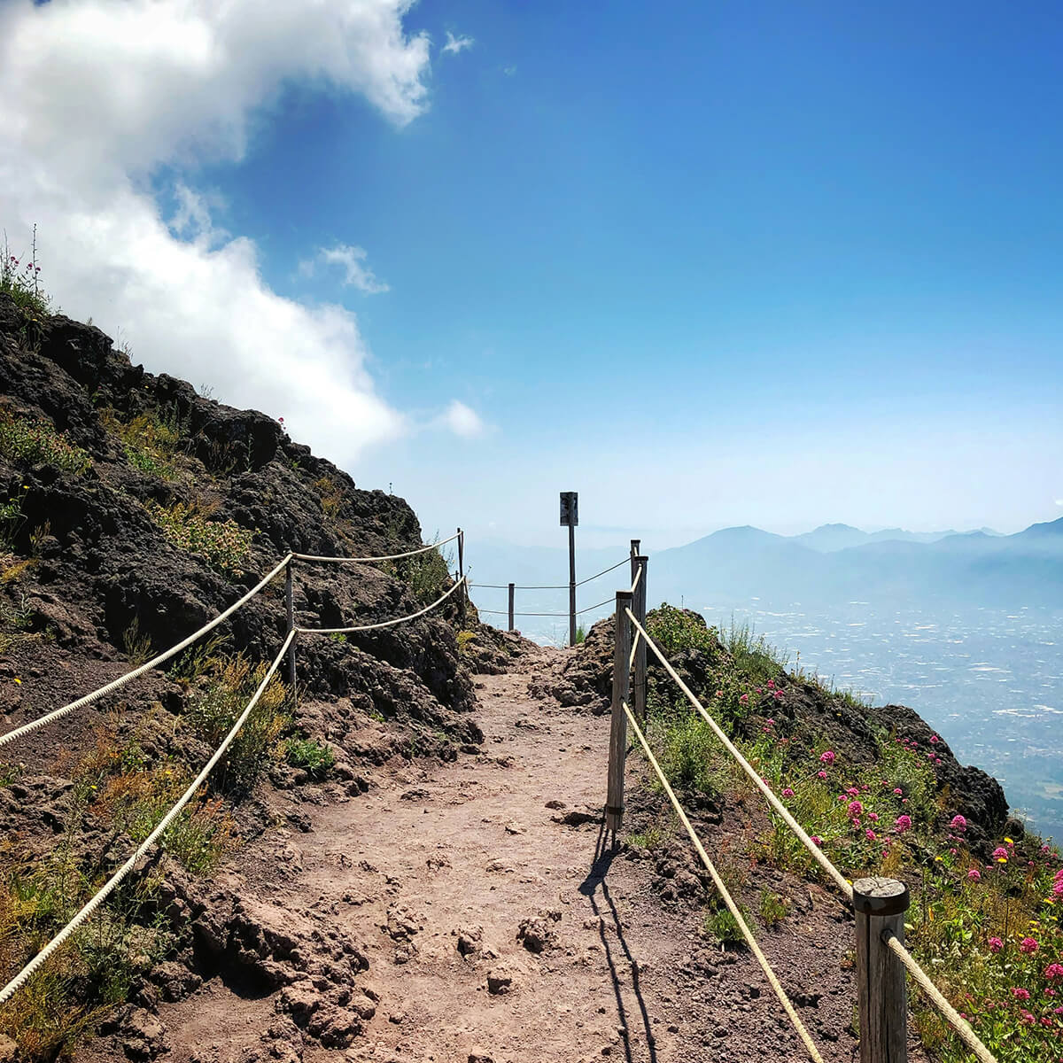 vesuvio4 Vesuvio con pranzo al Vigneto - immagine 1